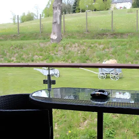 Mit Balkon 아파트 *